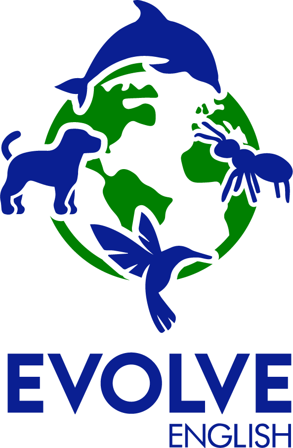 Image link